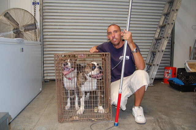Dog trapping and removal Riverside CA