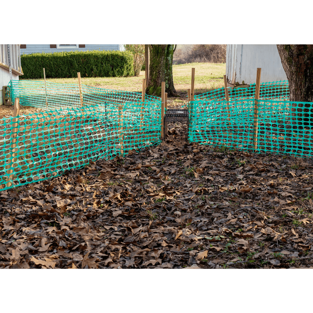 Skunk Removal Long Beach